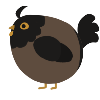 A bark and sable chicken with a head pattern