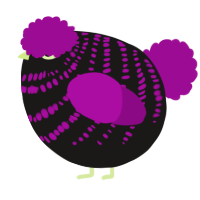 A sable and plum chicken with a bar pattern