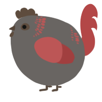 A grey and red chicken with a neck-band pattern