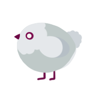 A silver and mist chicken with a head pattern