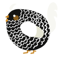 A black and white chicken with a lace pattern