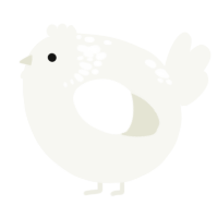 A white chicken with a neck-speckle pattern
