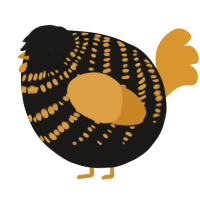 A sable and orange chicken with a bar pattern