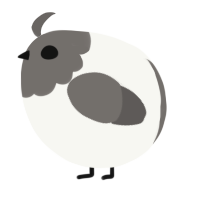 A white and grey chicken with a head pattern