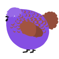 A blurple and russet chicken with a half-lace pattern