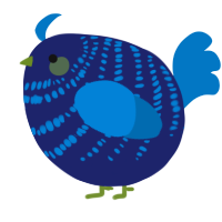 A navy and sapphire chicken with a bar pattern