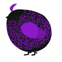 A black and violet chicken with a double-lace pattern