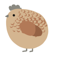 A beige and brown chicken with a half-lace pattern