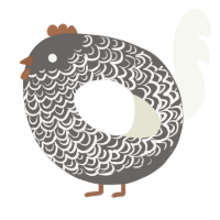 A grey and white chicken with a double-lace pattern