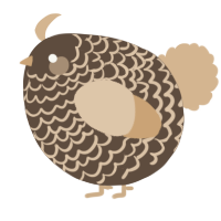 A bark and beige chicken with a lace pattern