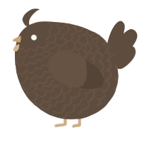A bark chicken with a lace pattern