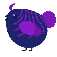 A navy and violet chicken with a half-bar pattern