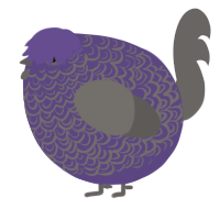 A overcast and grey chicken with a double-lace pattern