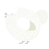 A white chicken with a lace pattern