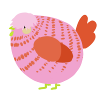 A pink and vermilion chicken with a bar pattern