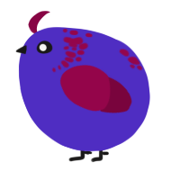 A indigo and maroon chicken with a neck-speckle pattern