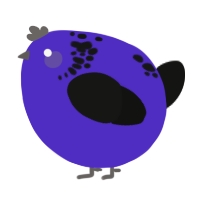A indigo and black chicken with a neck-speckle pattern