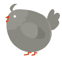 A ash chicken with a head pattern