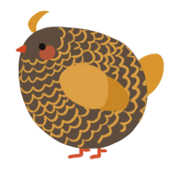 A bark and orange chicken with a lace pattern