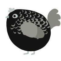 A black and ash chicken with a half-lace pattern