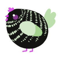 A black and gluppy chicken with a bar pattern