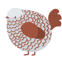 A mist and russet chicken with a lace pattern