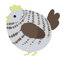 A mist and bark chicken with a bar pattern