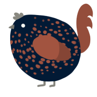A tumblr and russet chicken with a speckle pattern
