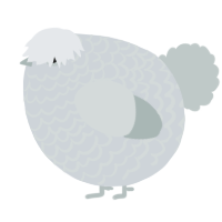 A mist and silver chicken with a lace pattern