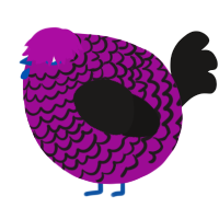A plum and sable chicken with a lace pattern