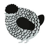 A silver and black chicken with a lace pattern
