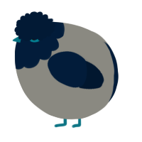 A ash and tumblr chicken with a head pattern