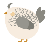 A cream and ash chicken with a half-lace pattern