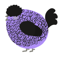 A lilac and sable chicken with a double-lace pattern