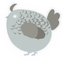 A silver and ash chicken with a half-lace pattern