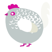 A silver and white chicken with a half-lace pattern