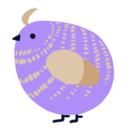 A lilac and beige chicken with a bar pattern