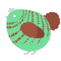 A spring and russet chicken with a bar pattern