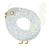 A silver and white chicken with a double-lace pattern
