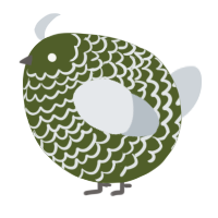 A olive and mist chicken with a lace pattern