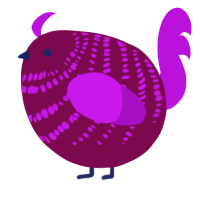 A wine and amethyst chicken with a bar pattern