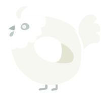 A white chicken with a head pattern