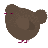 A bark chicken with a half-lace pattern