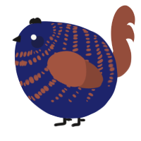 A navy and russet chicken with a bar pattern