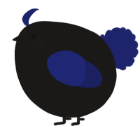 A sable and navy chicken