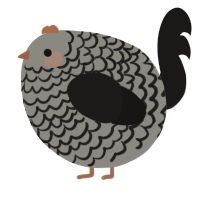 A ash and sable chicken with a lace pattern