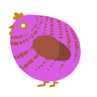 A orchid and russet chicken with a bar pattern