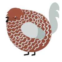 A russet and silver chicken with a lace pattern