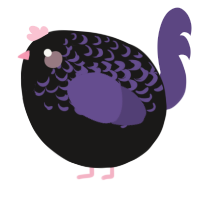 A sable and overcast chicken with a half-lace pattern