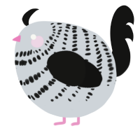 A mist and black chicken with a bar pattern